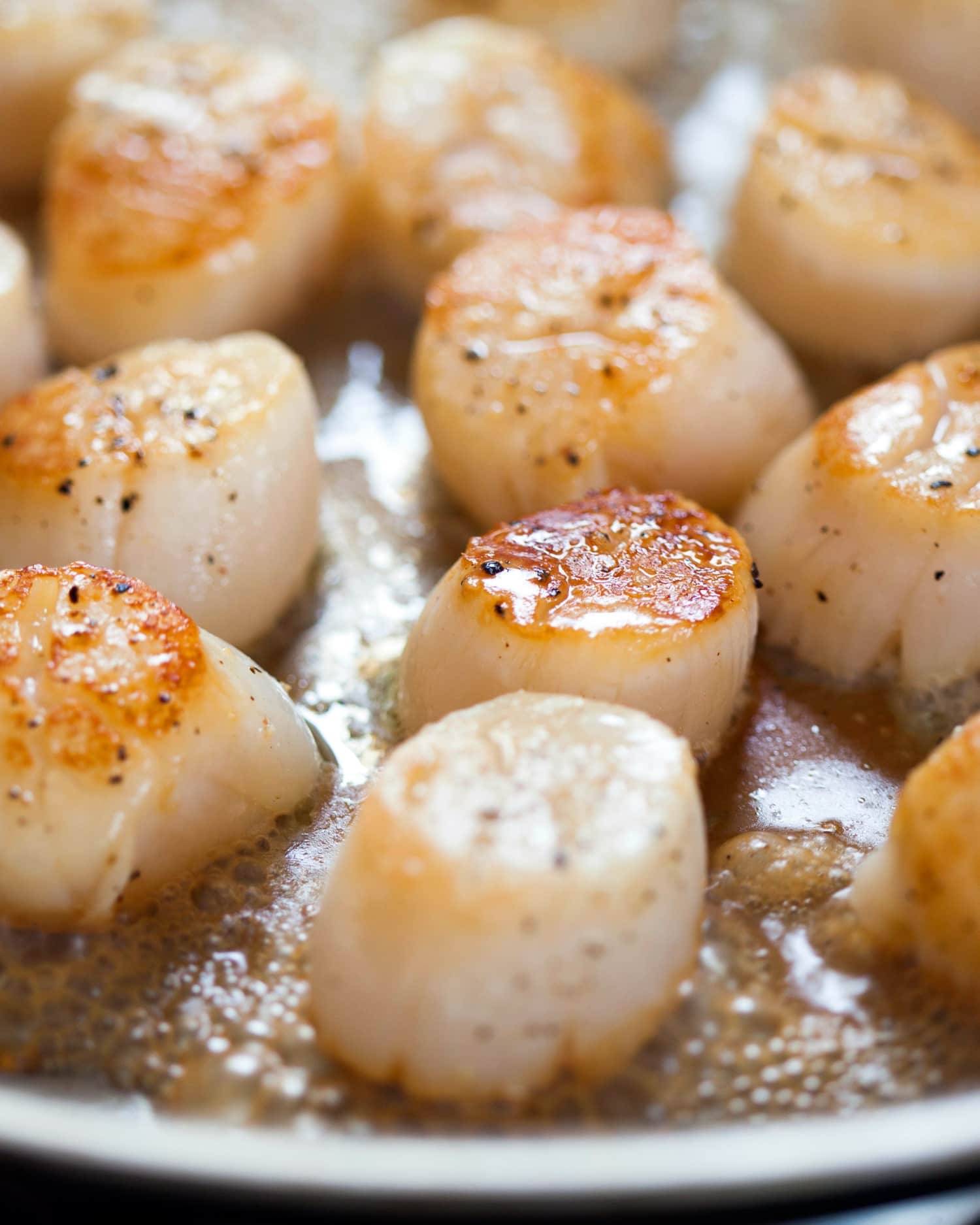 Cooked Scallops On A Plate