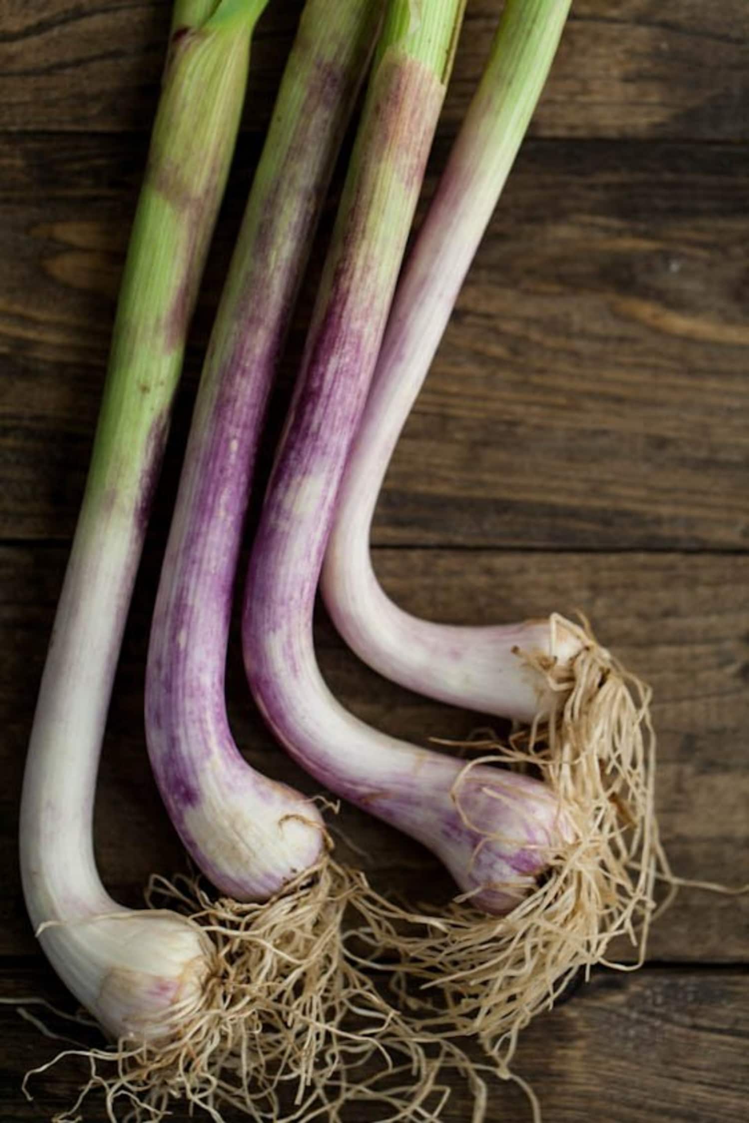 Why Spring Garlic Is the Best Garlic Kitchn