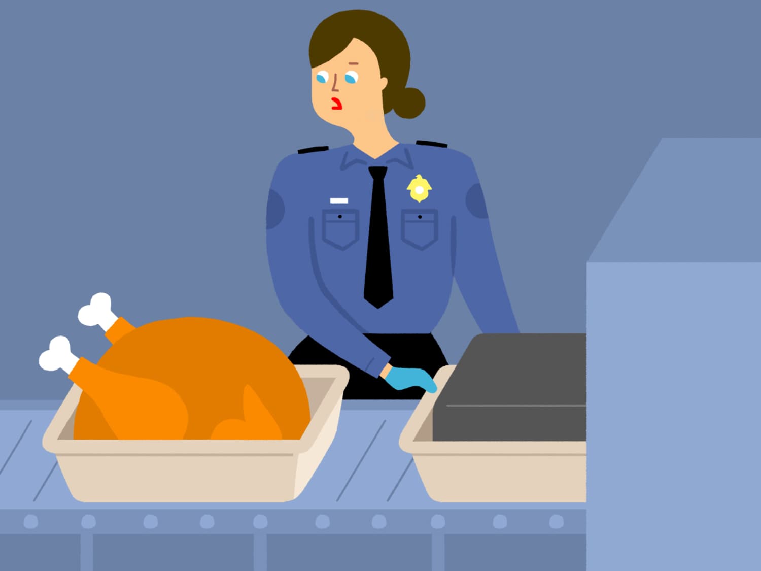 The Surprising Thing You Can Bring Through Airport Security Kitchn