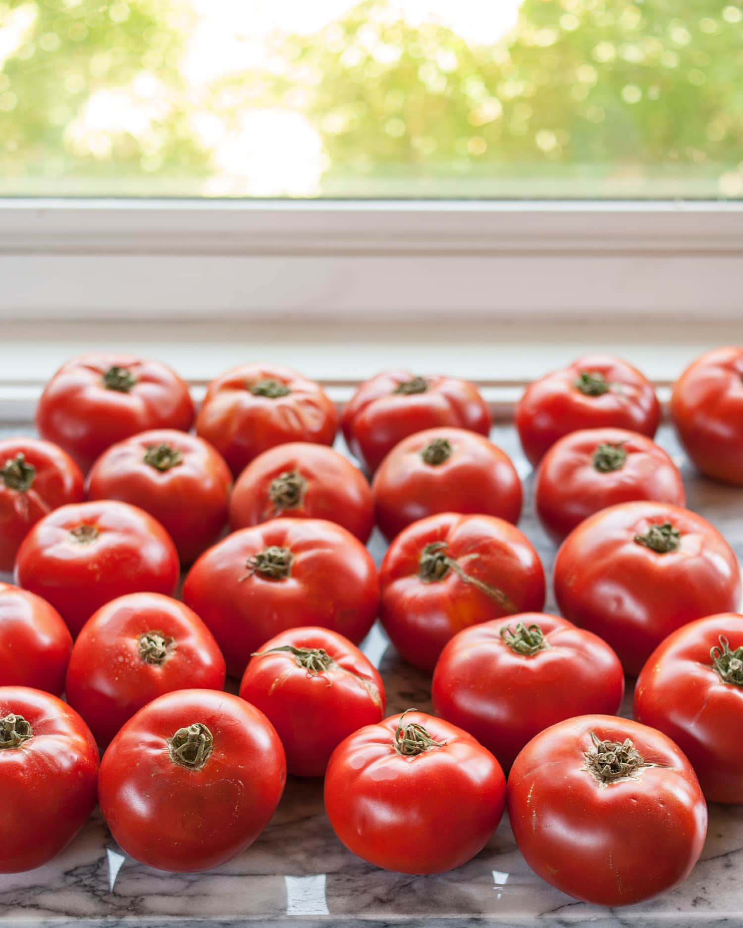 3 Ridiculous Rules for Eating Tomatoes Kitchn