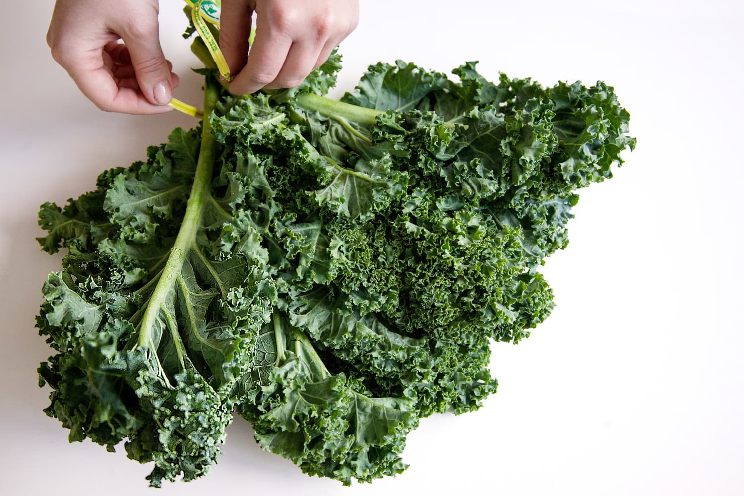Here Are 10 Pictures of Your Daily Recommended Servings of Fruits and Vegetables