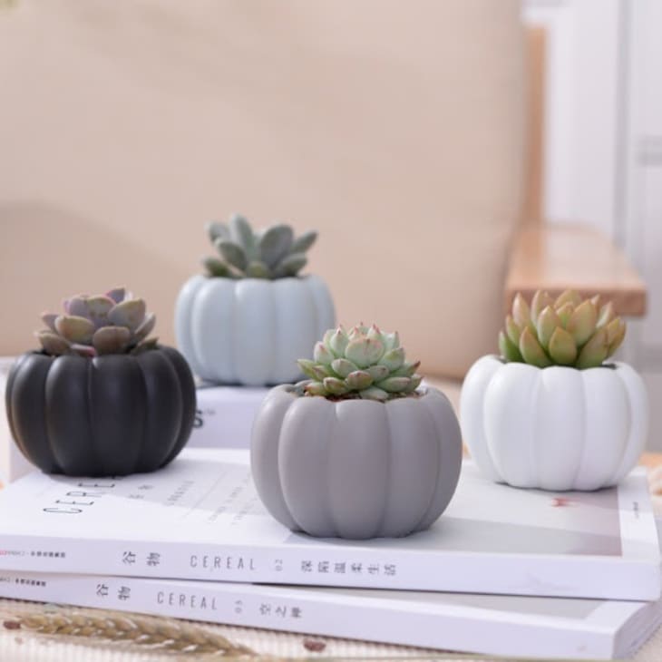 4 Pumpkin Ceramic Succulents Pots Set at Etsy