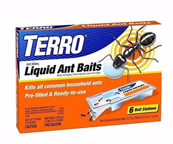 Product Image: TERRO Liquid Ant Baits