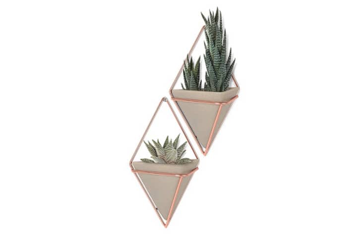 Product Image: Umbra Trigg Small Copper Hanging Planters, Set of 2