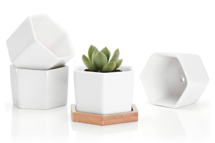 Product Image: 2.76 Inch Ceramic Hexagon Containers, Set of 4