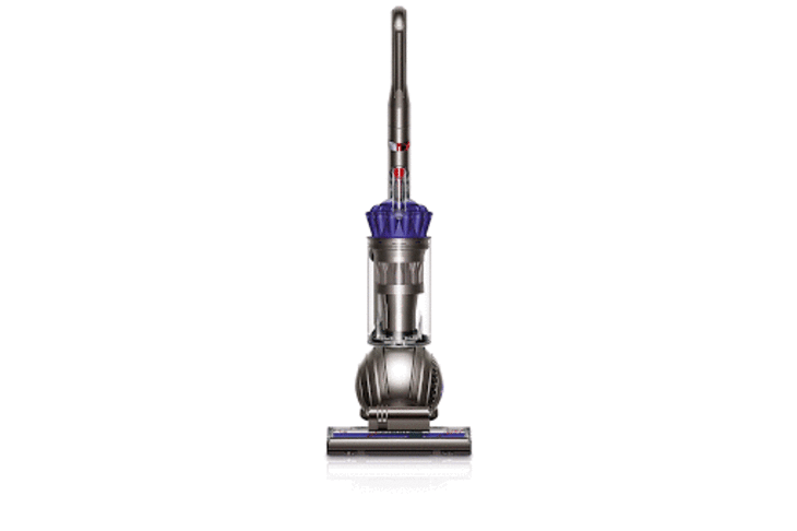 dyson pet 2