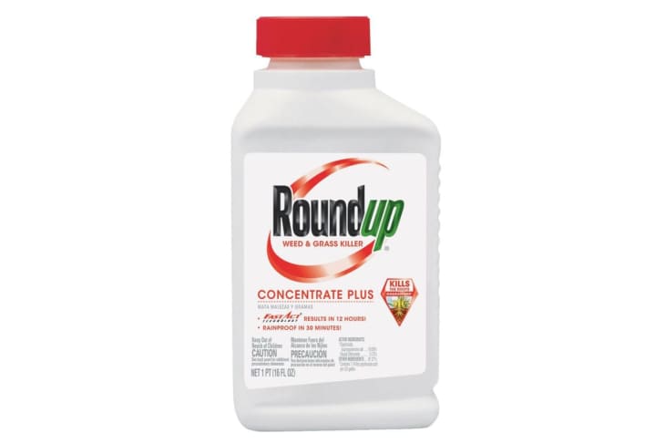 Product Image: Roundup Weed & Grass Killer Concentrate Plus