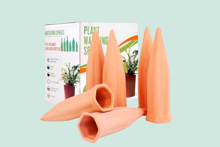 Product Image: Terracotta Plant Watering Stakes, Pack of 6