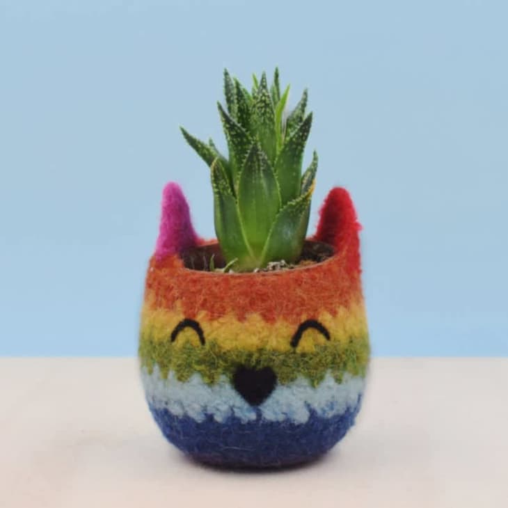 Product Image: Rainbow Kitty Succulent Planter