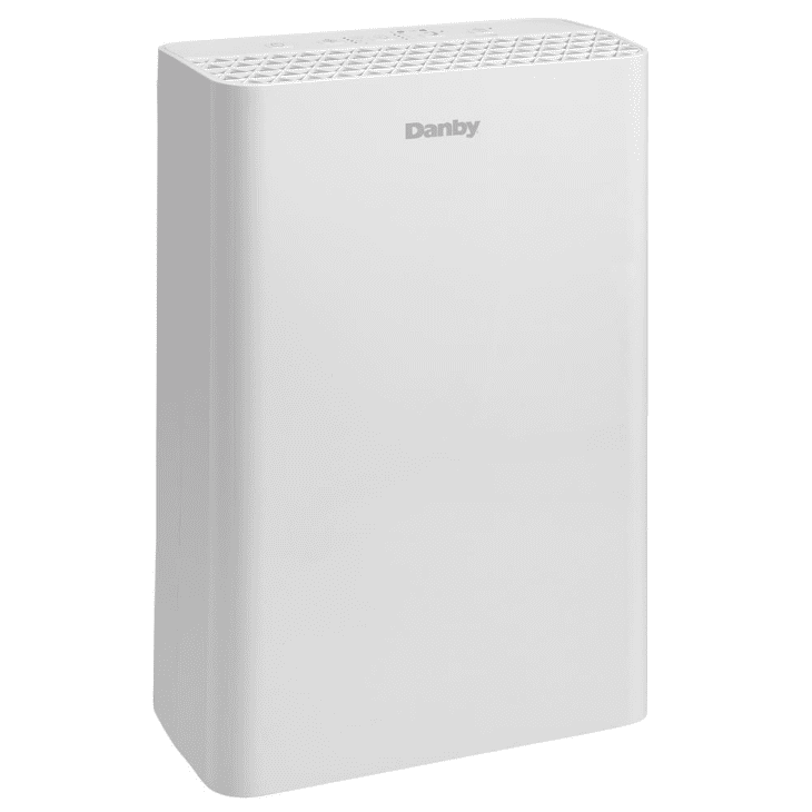 Danby Portable Air Purifier with Filter at Home Depot