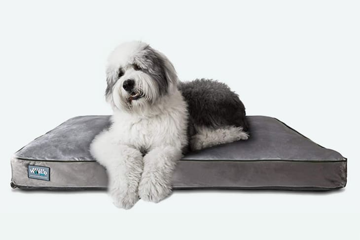harmony grey nester orthopedic dog bed