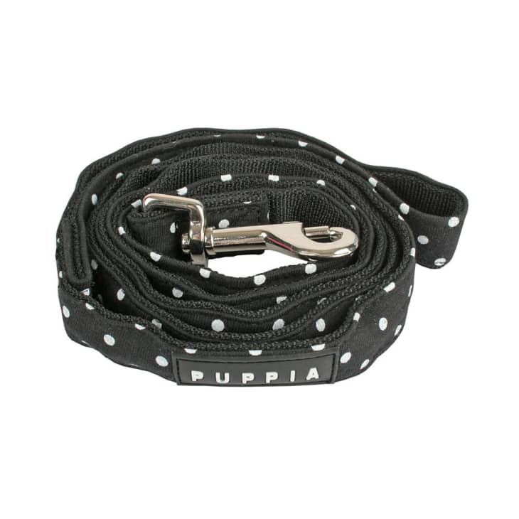 Product Image: Puppia Dotty Leash