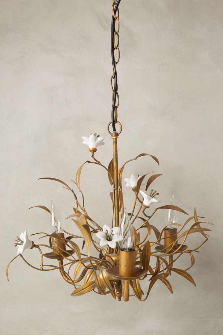 Product Image: Burgeoning Blooms Chandelier