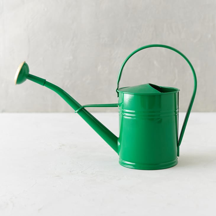 Product Image: Color Pop Metal Watering Can