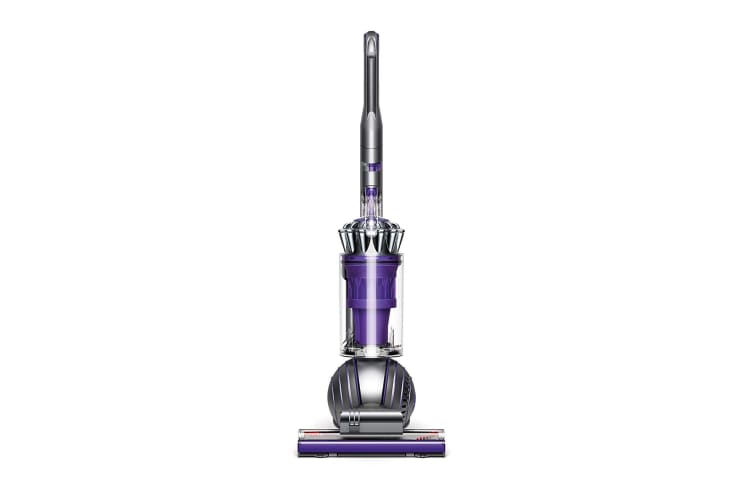 Product Image: Dyson Ball Animal 2 Upright Vacuum (Certified Refurbished)