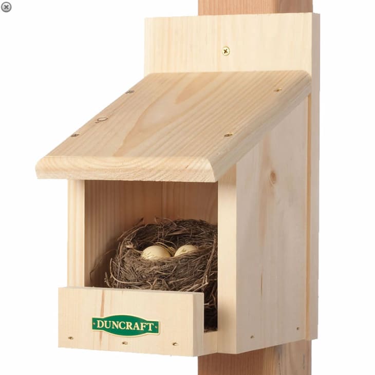 Product Image: Best Nesting Shelf