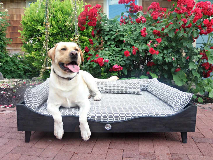 Product Image: Old Town Pet Beds, Extra Large Bed
