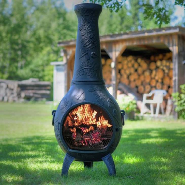 Product Image: The Blue Rooster Dragonfly Chiminea in Charcoal at Amazon