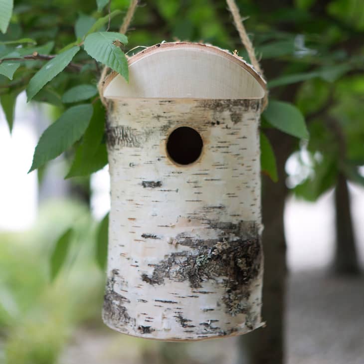 Product Image: Hewn Birch Birdhouse, Small
