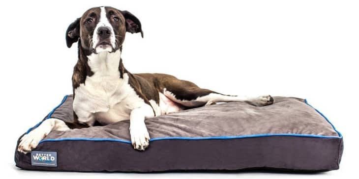 Product Image: Better World Pets Orthopedic Dog Bed