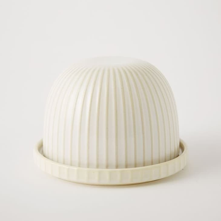 Product Image: Textured Butter Dish from west elm