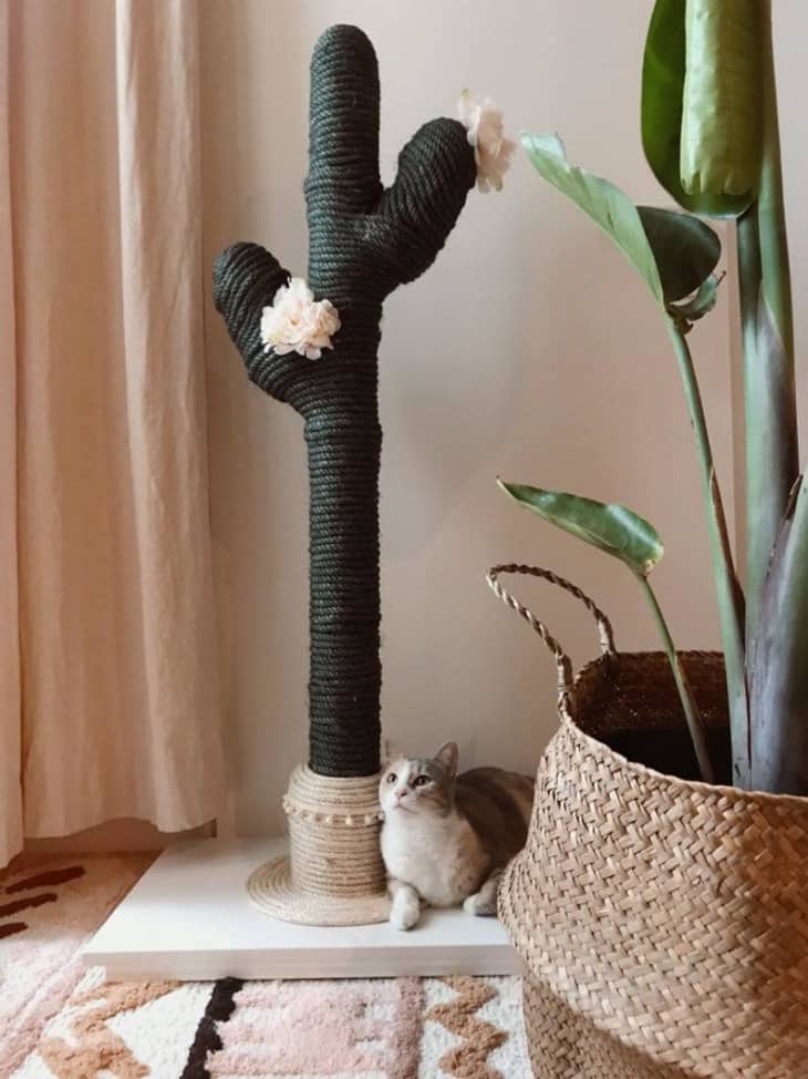 Cactus Cat Tree Scratching Post Etsy Apartment Therapy