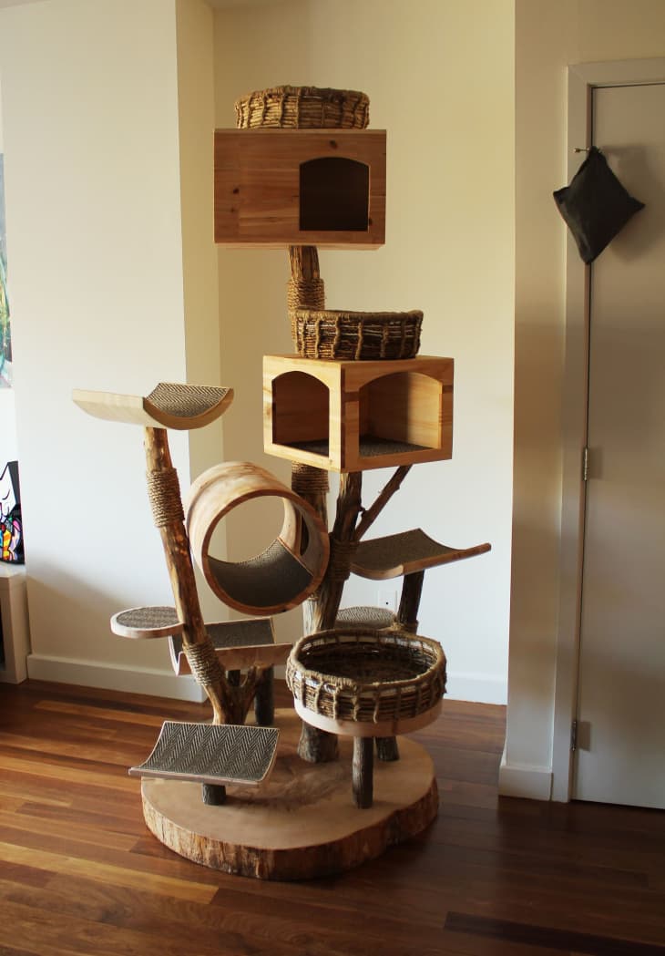 Custom cat tree house 2025