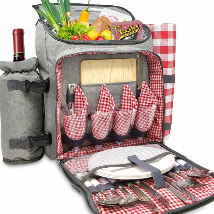 Amazon Picnic Backpack | Apartment Therapy