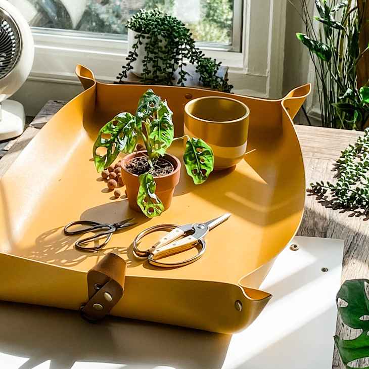 64 Best Gifts for Plant Lovers and Green Thumbs in 2024 | Apartment Therapy