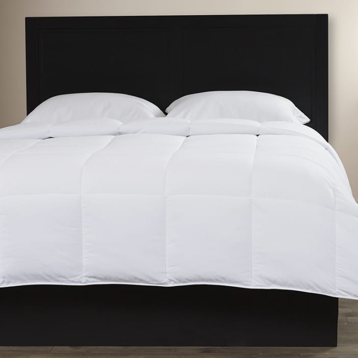 Budget Basics 9 Down & Down Alternative Comforters Under 100