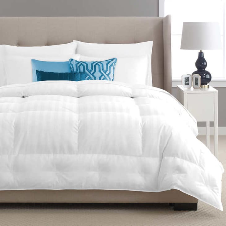 Pacific coast down blankets costco best sale