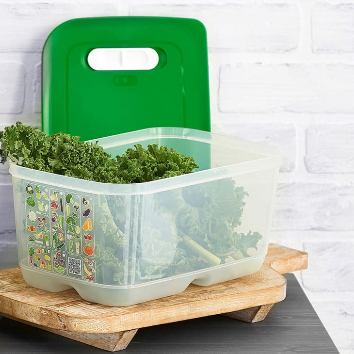 Fridgesmart Storage Container Tupperware The Kitchn