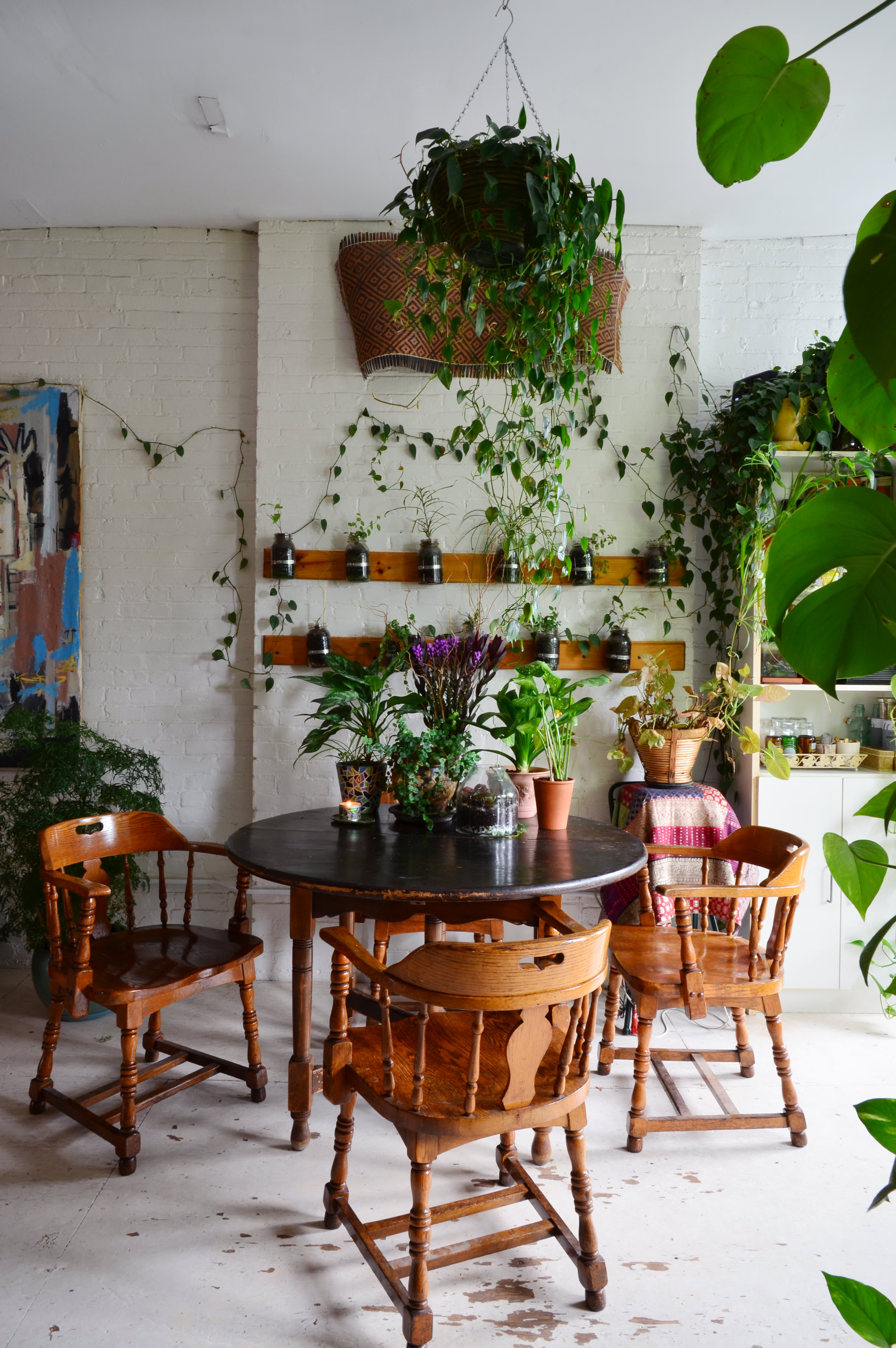 Indoor Jungle in a Small Apartment