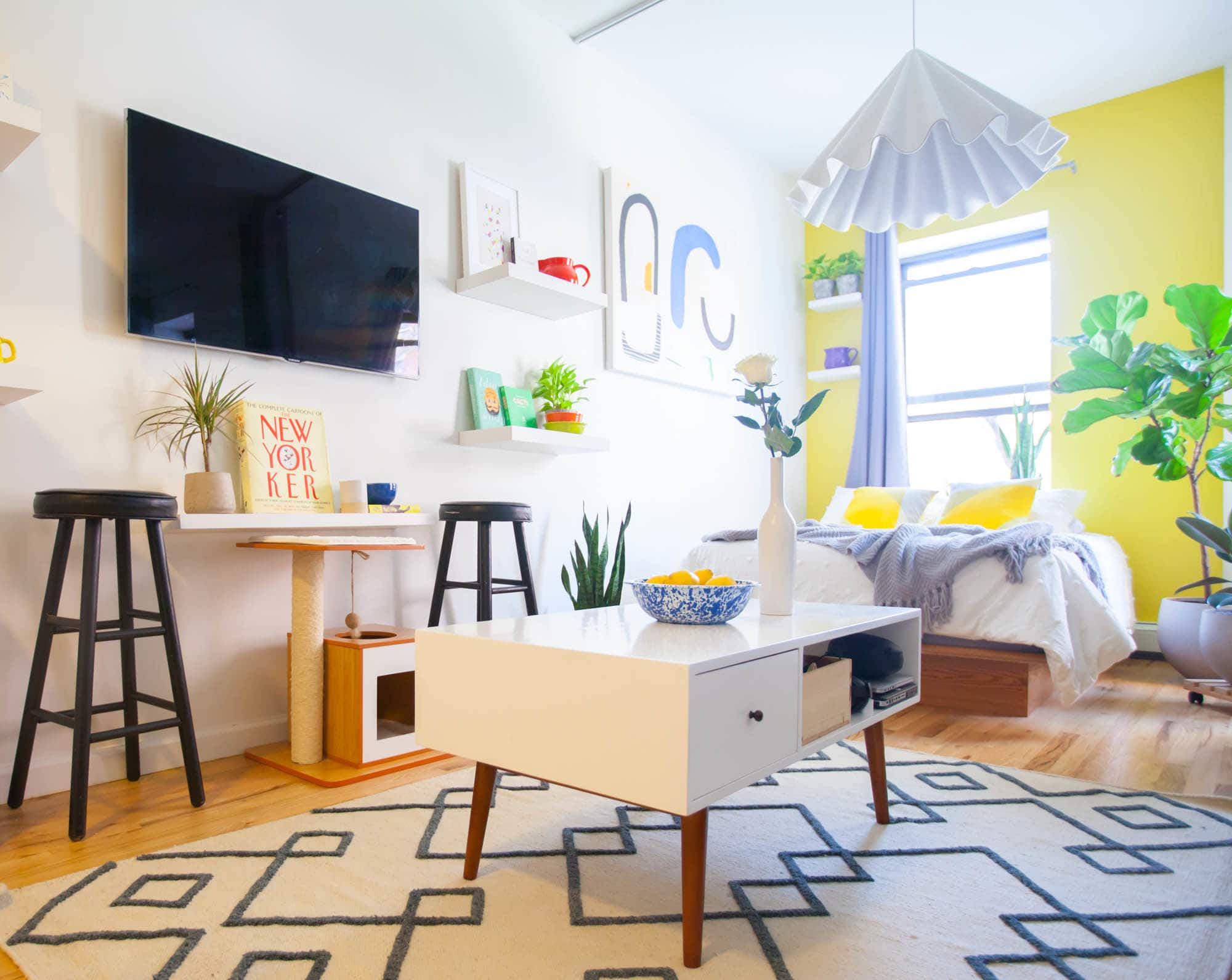 House Tour A Bold Colorful Bronx Studio Apartment Therapy