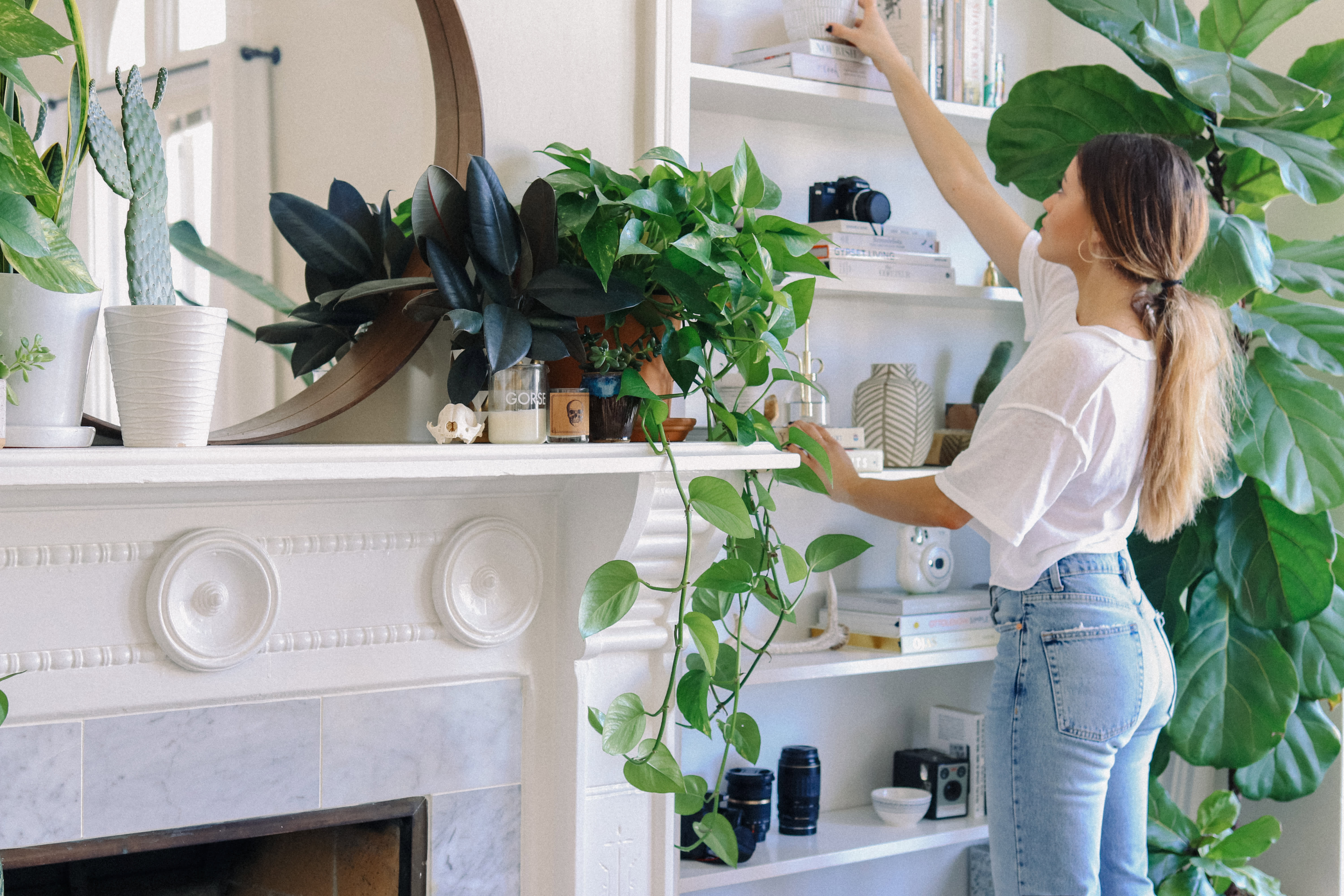 Plant Filled Simple Chic Studio Apartment Decor Photos - 