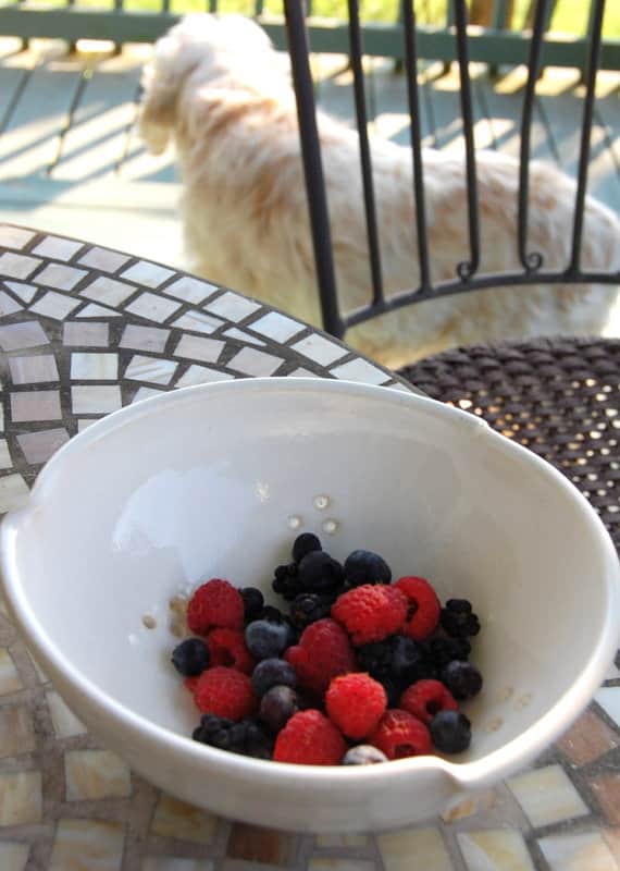 5 Pretty Berry Bowls Kitchn