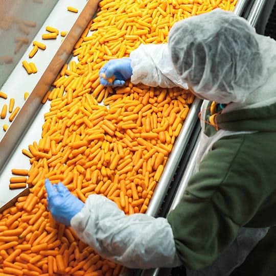 Carrot Field