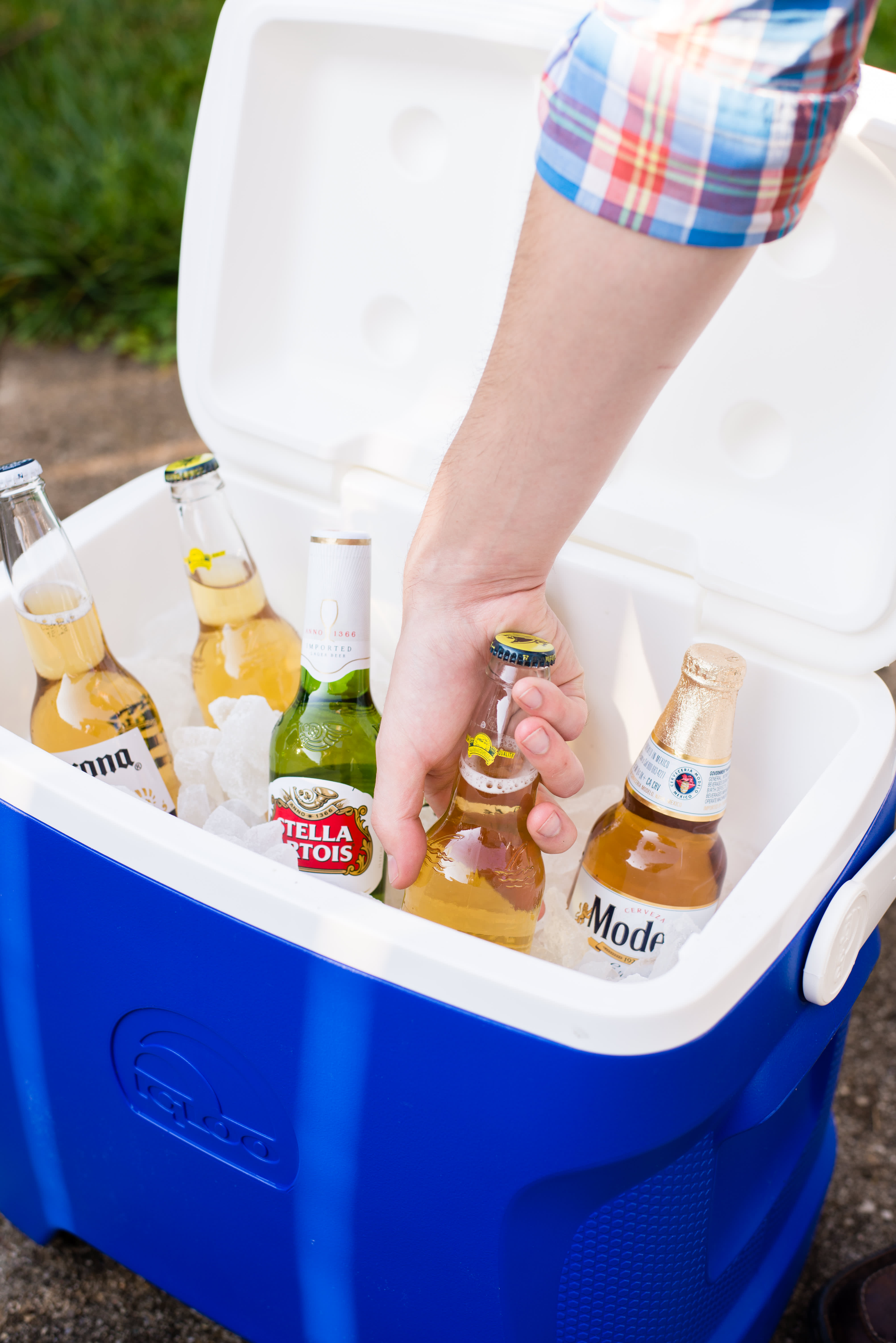 How To Clean a Dirty Cooler Kitchn