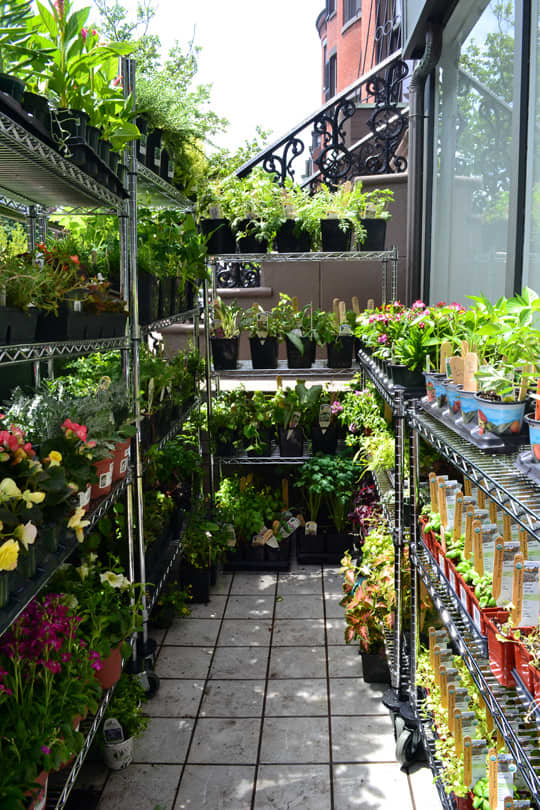 Niche Apartment Therapy