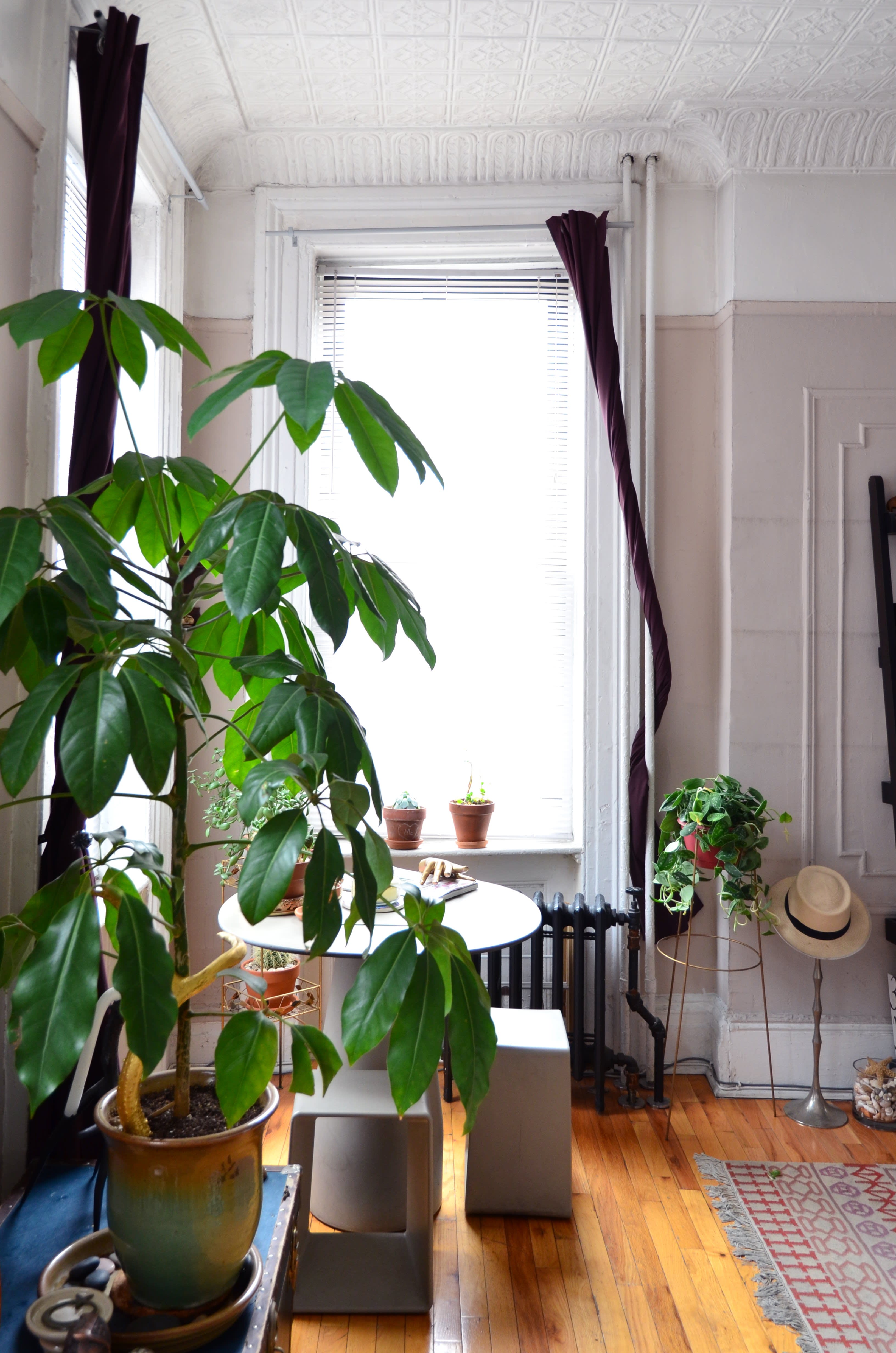 A Brooklyn Railroad Apartment with Serious Style Apartment Therapy