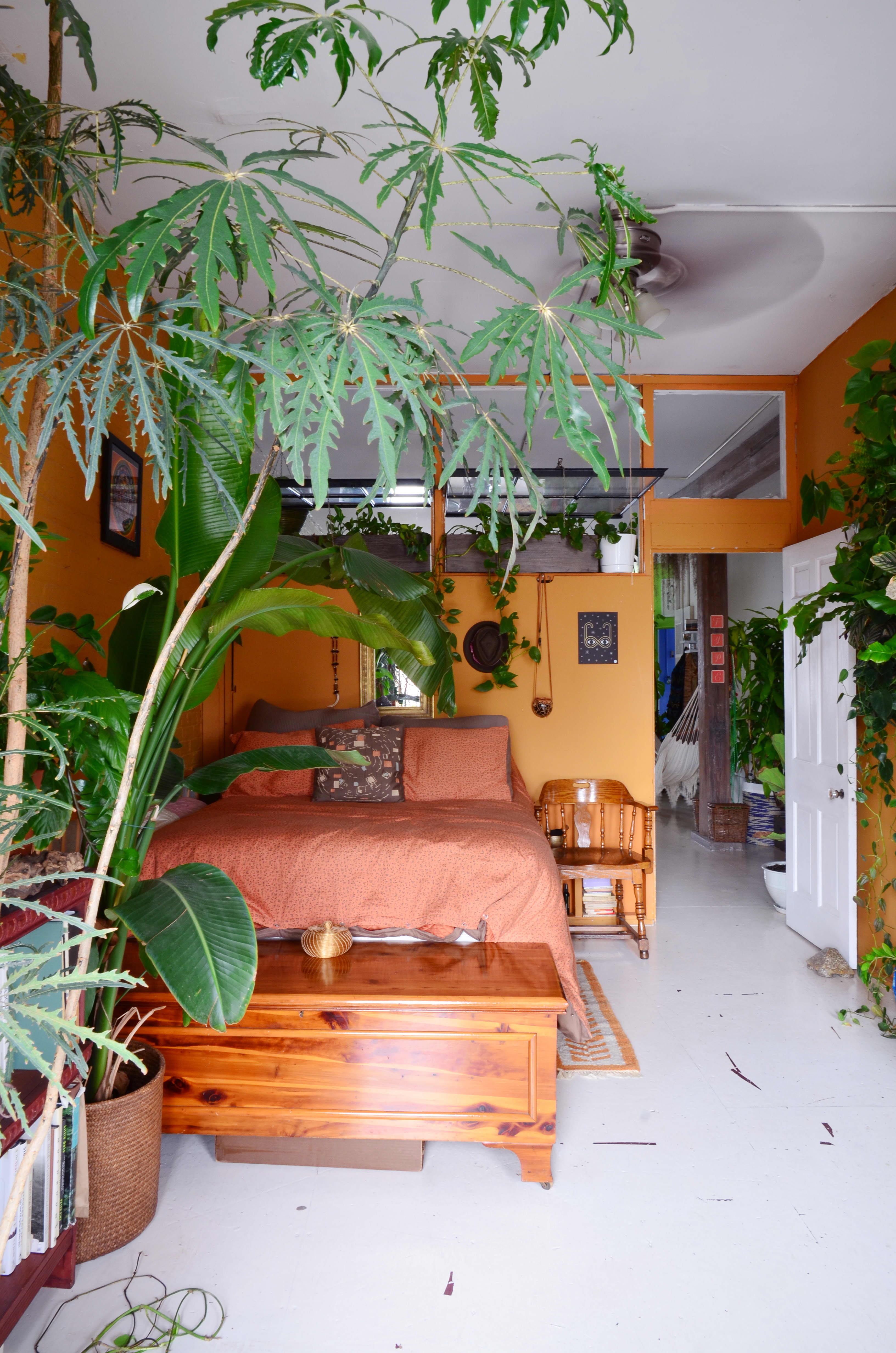 House Tour: An Indoor Jungle Grows in Brooklyn | Apartment Therapy