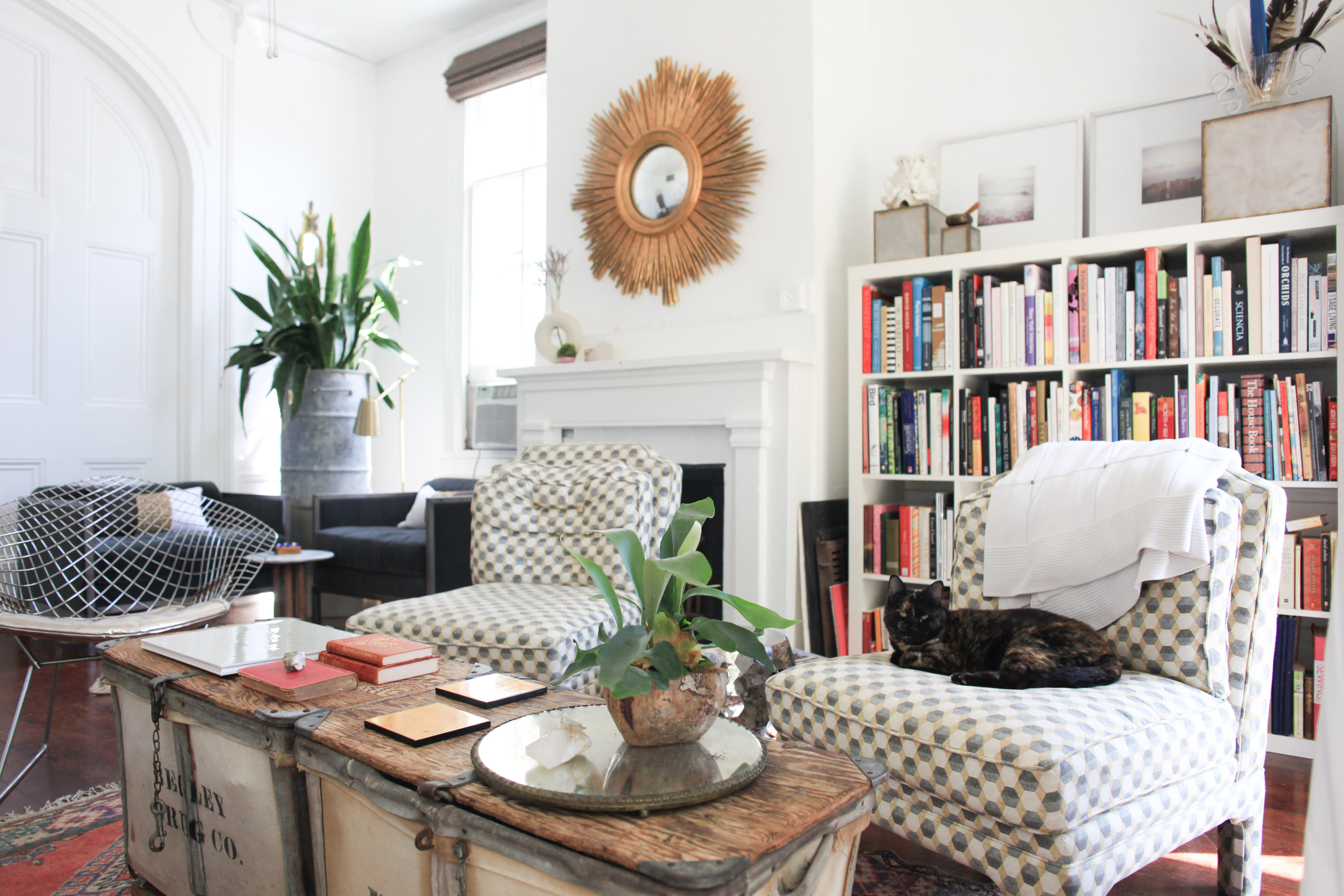 New Orleans Home Tour A Designer's Uptown Studio Apartment Therapy