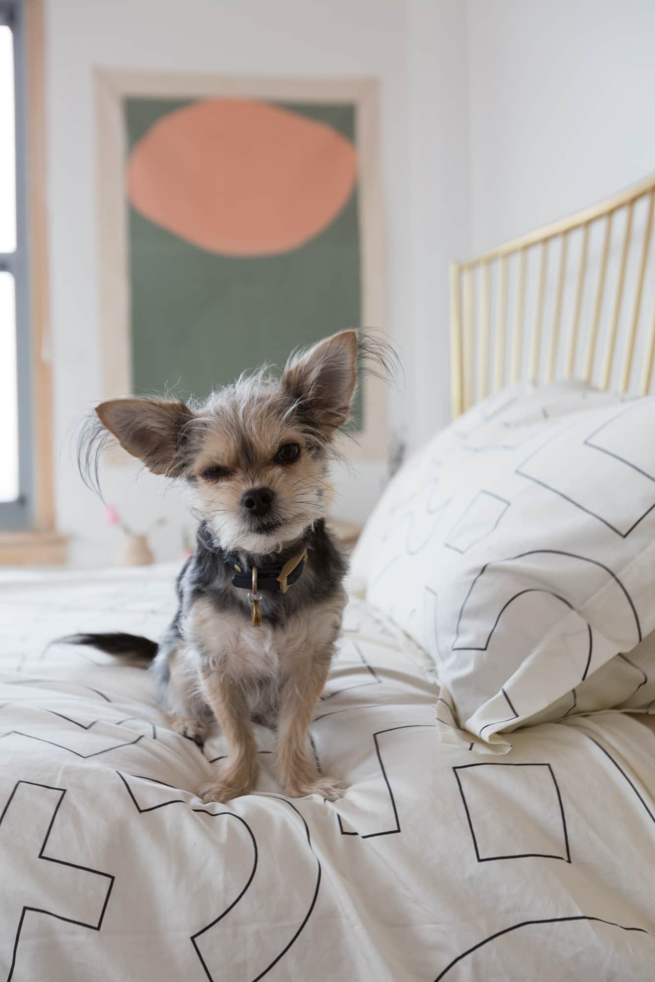 "Younger" Star Molly Bernard Brooklyn Apartment Photos Apartment Therapy