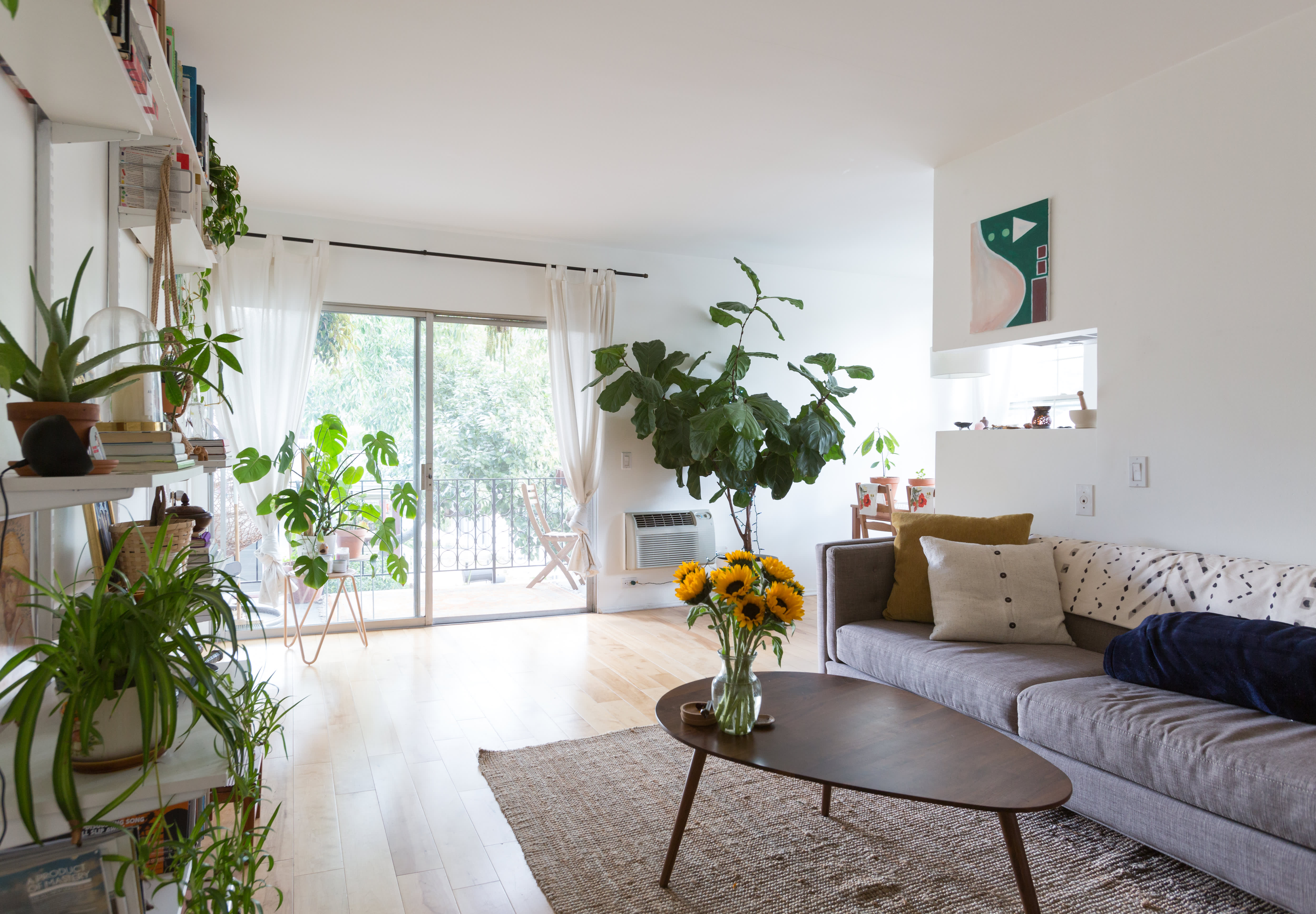 minimalist plant living room