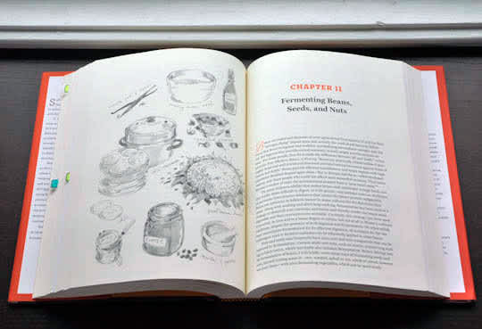 The Art of Fermentation by Sandor Ellix Katz | Kitchn