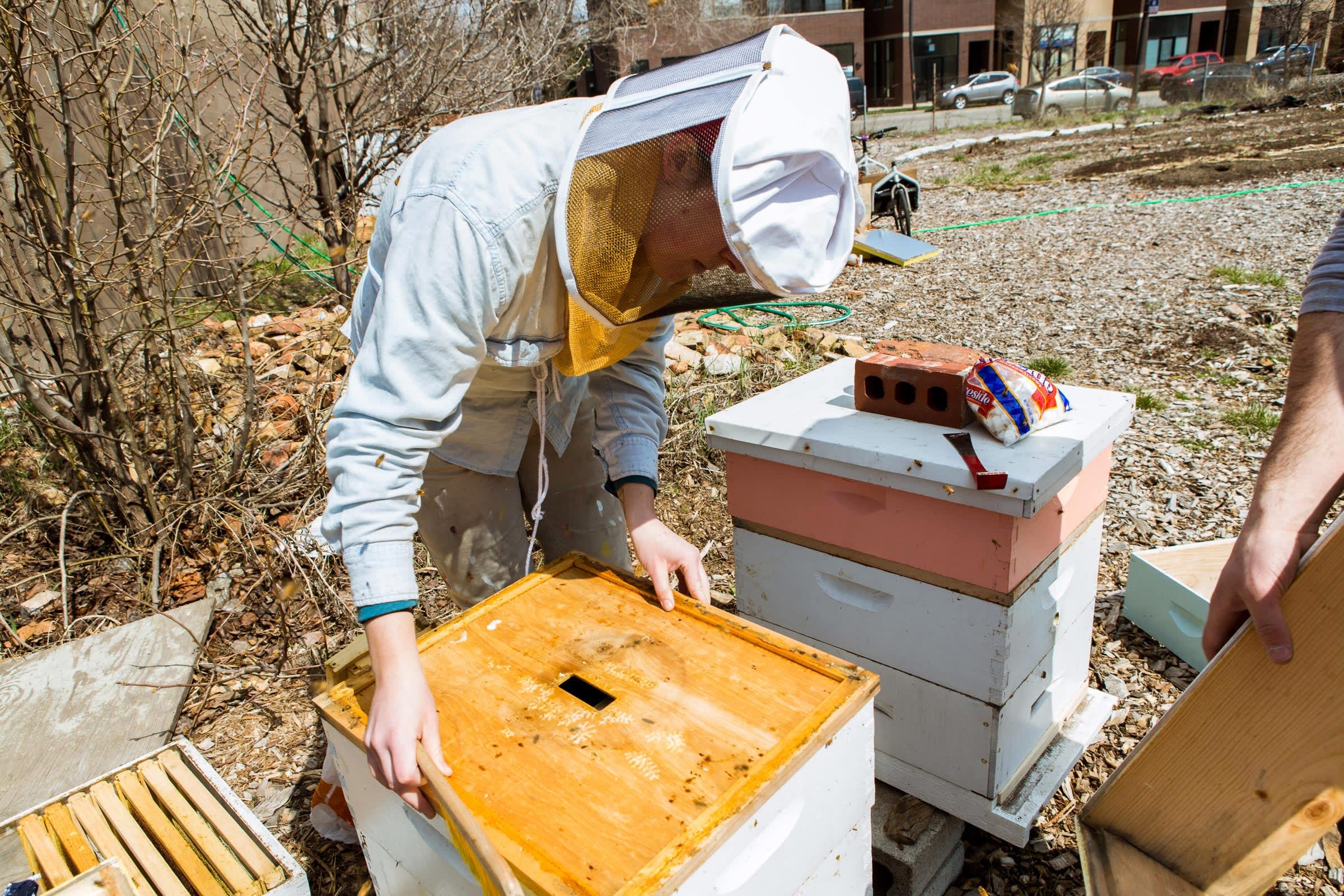 A Visit with Jana Kinsman of Bike a Bee Building Hives & Sharing Honey