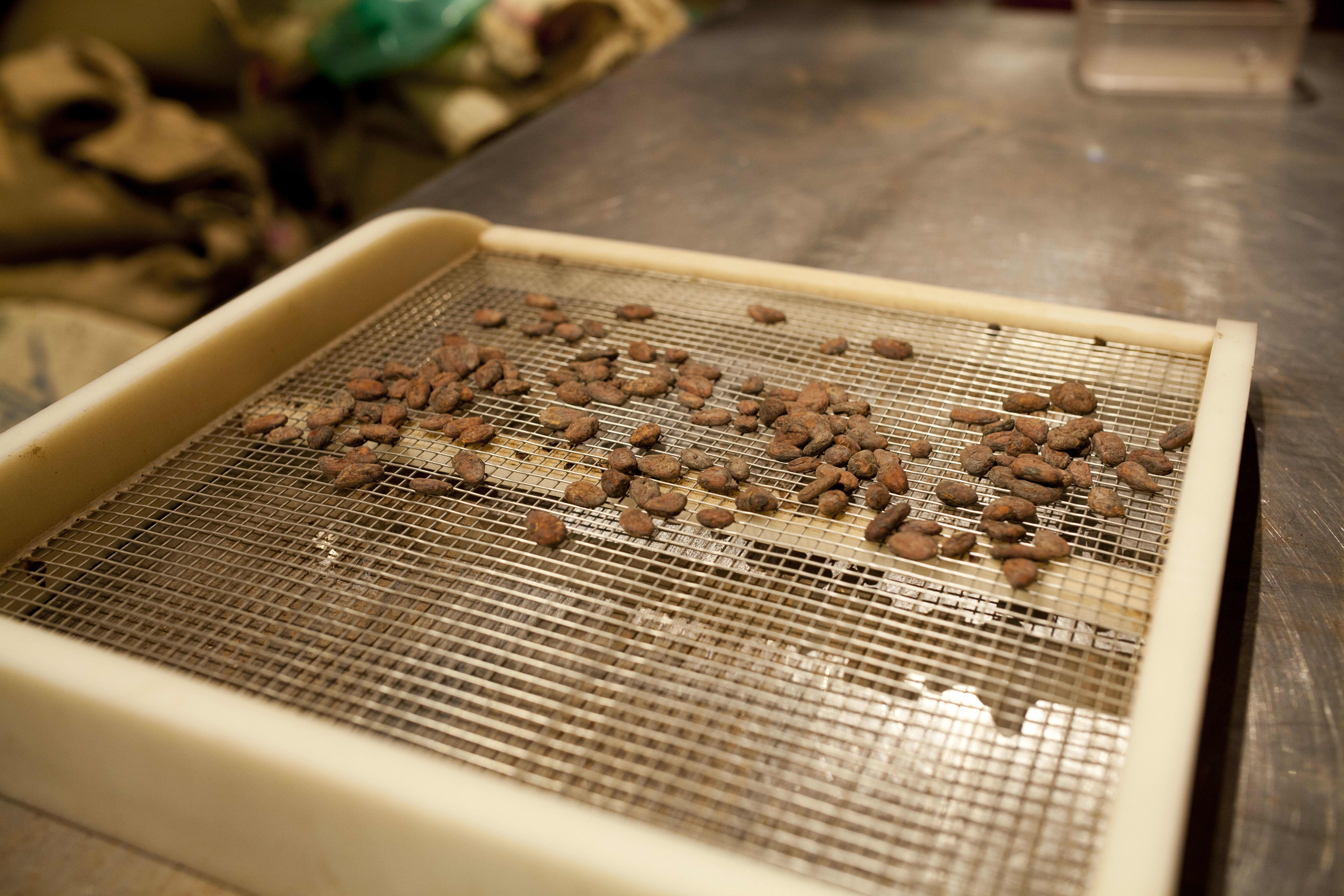 How Dandelion Makes Their Chocolate in San Francisco Kitchn