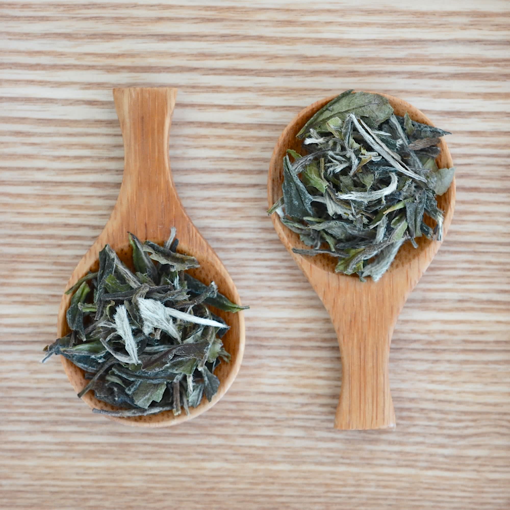 How To Brew White Tea Kitchn