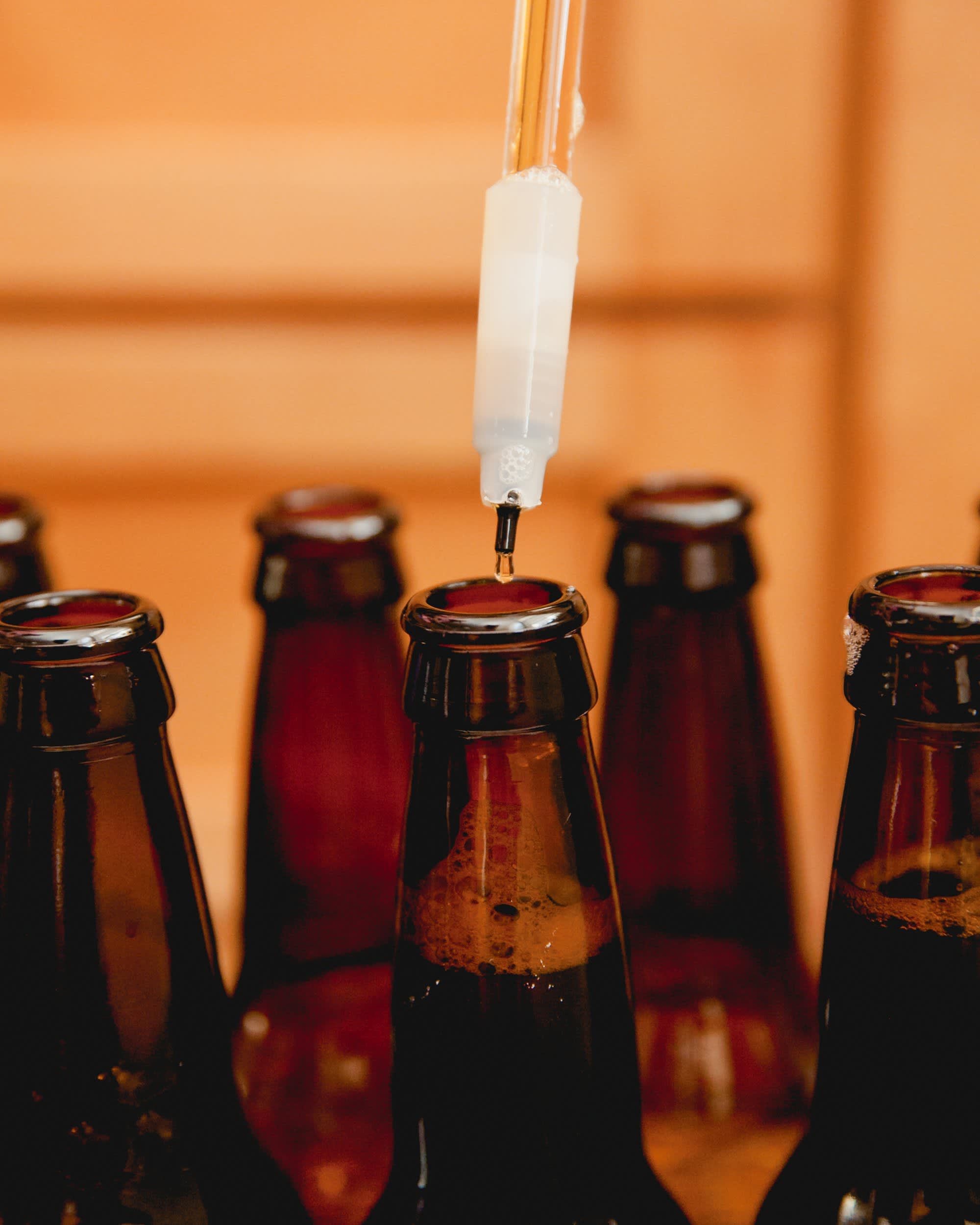 How To Bottle Beer At Home Kitchn
