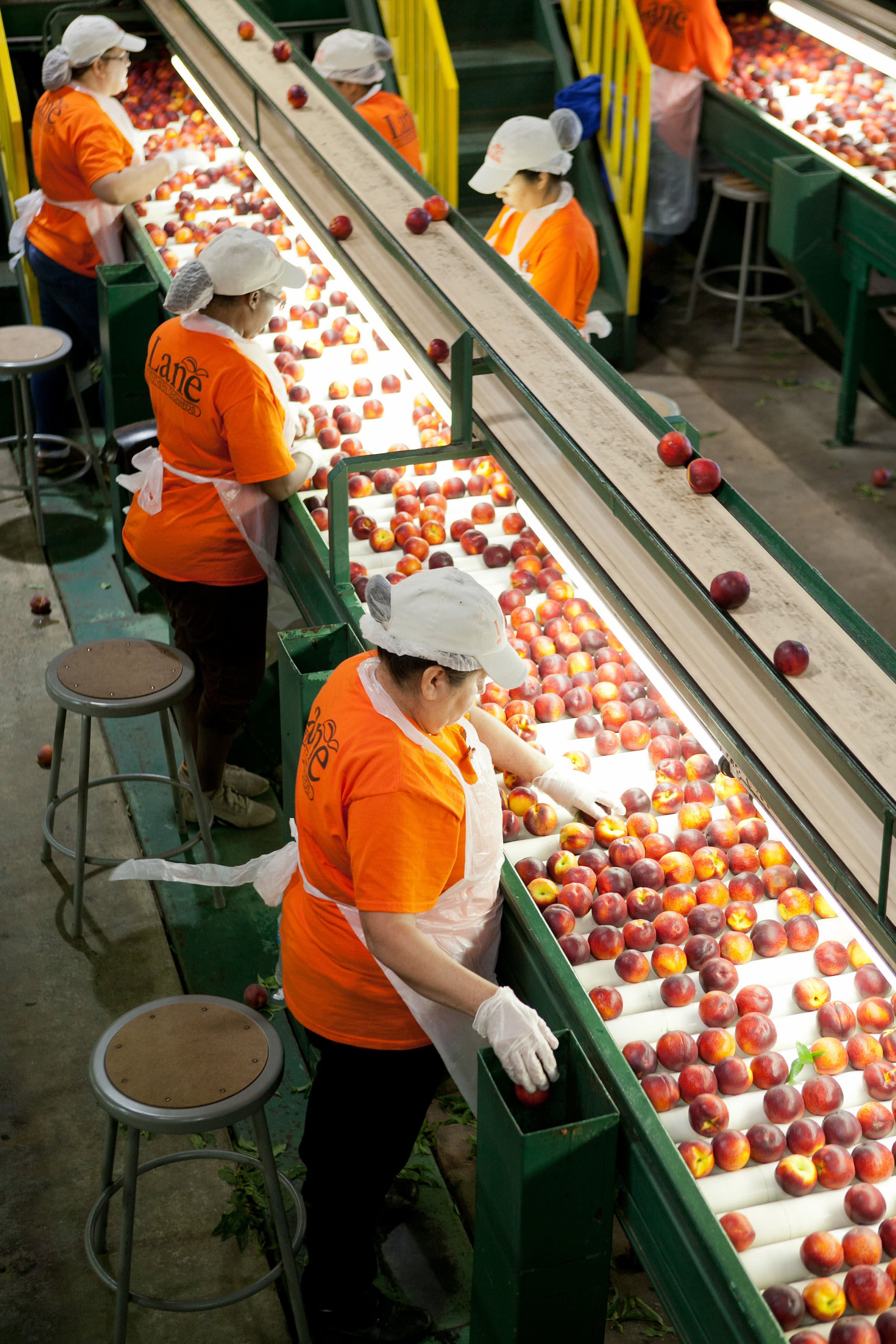 How Peaches Are Packed for Shipping Kitchn